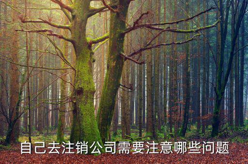 企業(yè)注銷(xiāo)需要注意什么，公司撤銷(xiāo)與注銷(xiāo)有哪些注意事項(xiàng)