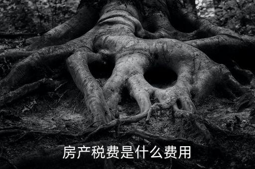 什么是房土兩稅，什么是城鎮(zhèn)土地使用稅