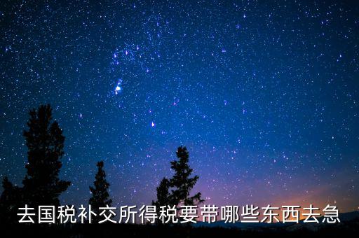 去國稅補繳增值稅要帶什么，增值稅零申報逾期申報了48天 到國稅補申報需要準(zhǔn)備什么資料 帶什么