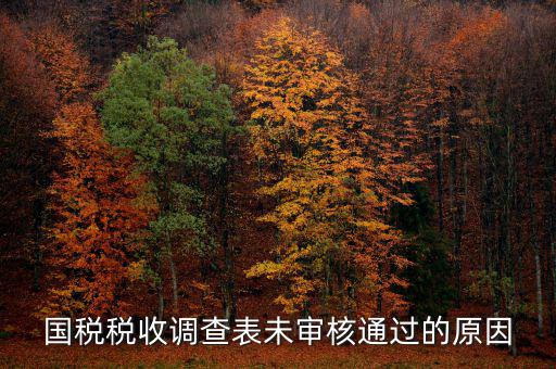 國稅網(wǎng)為什么查不到預審信息，在國稅上我明明已經(jīng)申報過了為什么查詢不出來