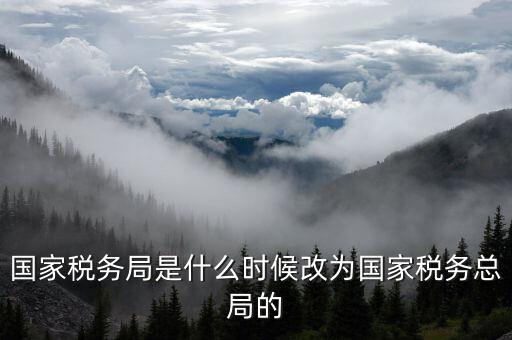 稅務(wù)機(jī)構(gòu)改革是什么，稅收征管體制改革內(nèi)容