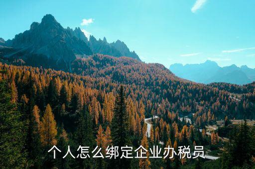 辦稅人員該綁定什么人，個人怎么綁定企業(yè)辦稅員
