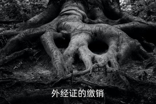 廈門繳銷外經(jīng)證國(guó)稅什么資料，廈門國(guó)稅需銷項(xiàng)合同是什么