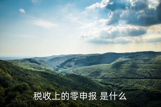 什么叫免于零申報(bào)，小規(guī)模納稅人 要增值稅納稅申報(bào) 但是每次都為零申報(bào)