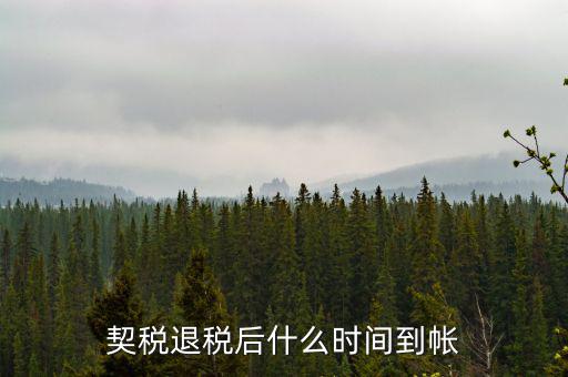 退稅款什么時(shí)候到賬，出口退稅款一般多久到賬