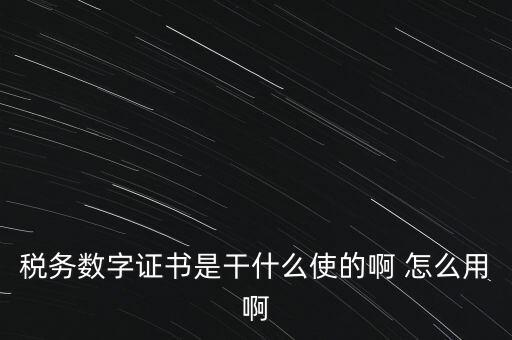 國(guó)稅ca數(shù)字證書(shū)是什么，稅務(wù)數(shù)字證書(shū)是干什么使的啊 怎么用啊