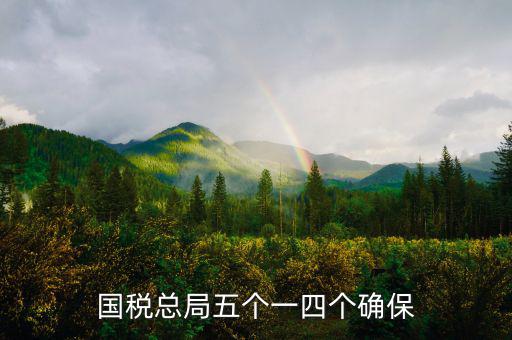稅務(wù)局五個(gè)一是什么意思，國稅總局五個(gè)一四個(gè)確保