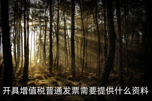 開增值稅提供什么資料，開具增值稅普通發(fā)票需要提供什么資料