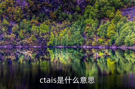 ctais是什么意思，ctais中增值稅認(rèn)定級(jí)別是什么意思