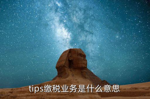 地稅tips繳款是什么意思，tips扣稅是什么意思