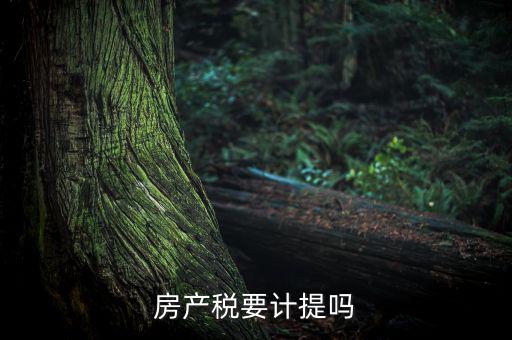 房產(chǎn)稅列入什么費(fèi)用，房產(chǎn)稅要計提嗎
