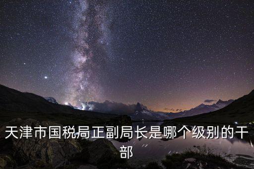 國稅局副局長是什么級別，天津市國稅局正副局長是哪個級別的干部