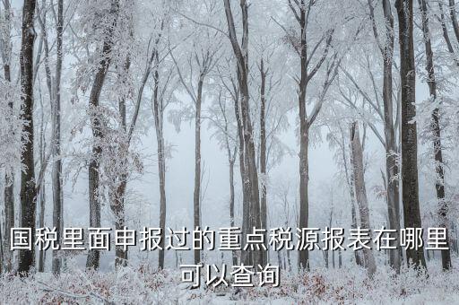 重點稅源預(yù)測網(wǎng)址是什么，國稅里面申報過的重點稅源報表在哪里可以查詢