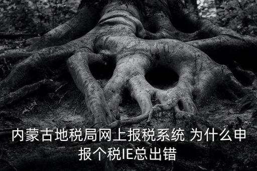 為什么內蒙古國地稅網進不去，windows7內蒙古地稅報稅系統(tǒng)顯示無法顯示該網頁
