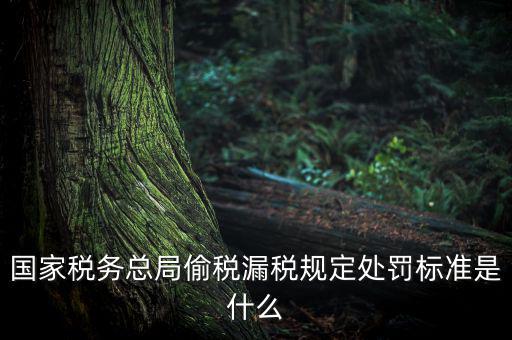 四稽國(guó)稅罰是什么意思，國(guó)稅局罰款結(jié)案是什么意思