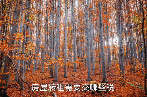 轉(zhuǎn)租房屋需要交什么稅，房屋轉(zhuǎn)租需要交哪些稅