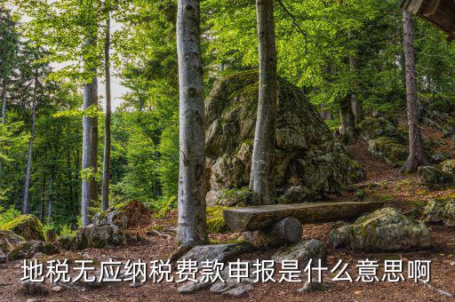 地稅無稅申報包括什么，地稅申報表無稅申報是什么意思我這個月要0申報是點擊