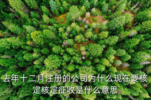 為什么核定征收收據(jù)，查賬征收為什么會轉(zhuǎn)為核定征收