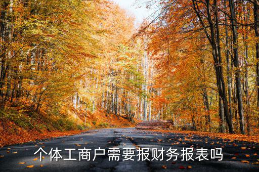 個(gè)體戶都需要申報(bào)什么表，個(gè)體工商戶需要報(bào)財(cái)務(wù)報(bào)表嗎