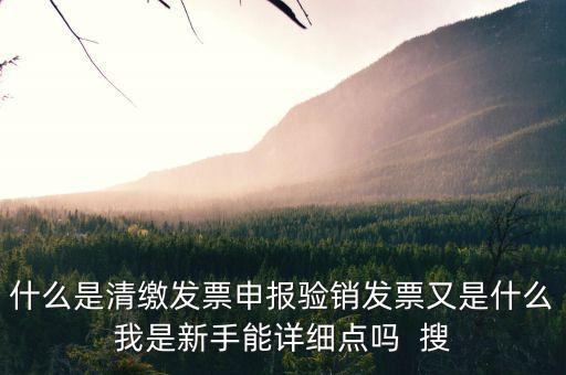什么是清繳發(fā)票申報驗銷發(fā)票又是什么我是新手能詳細(xì)點(diǎn)嗎  搜