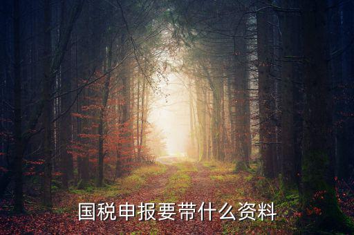 國稅注冊需要什么資料，國稅登記需要帶什么資料