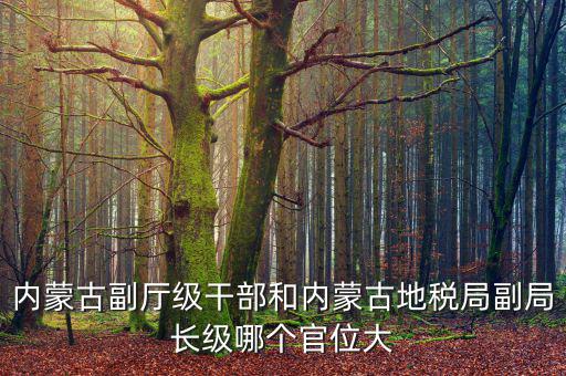 內(nèi)蒙古副廳級干部和內(nèi)蒙古地稅局副局長級哪個(gè)官位大