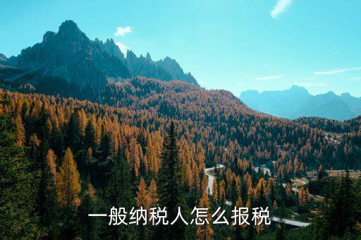 四川一般納稅人用什么申報國稅，一般納稅人報稅的詳細流程