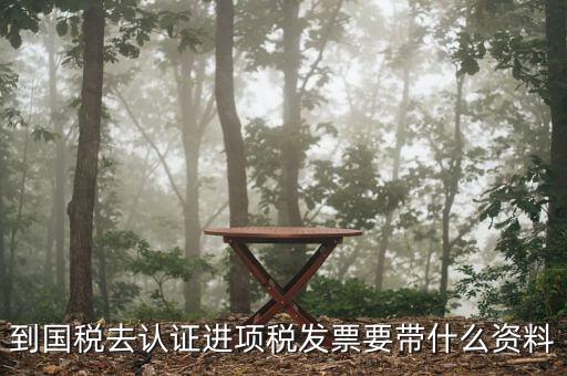常州國稅認證發(fā)票需要帶什么，到國稅認證發(fā)票時需要帶什么資料