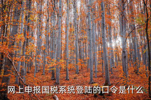 國稅網(wǎng)報口令是什么意思，網(wǎng)上申報國稅系統(tǒng)登陸的口令是什么