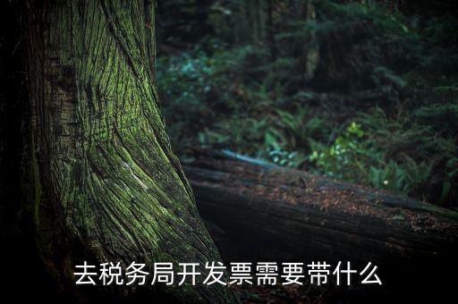 紹興市國(guó)稅購(gòu)增值稅發(fā)票需要帶什么，到稅務(wù)局開(kāi)增值稅專(zhuān)用發(fā)票帶什么
