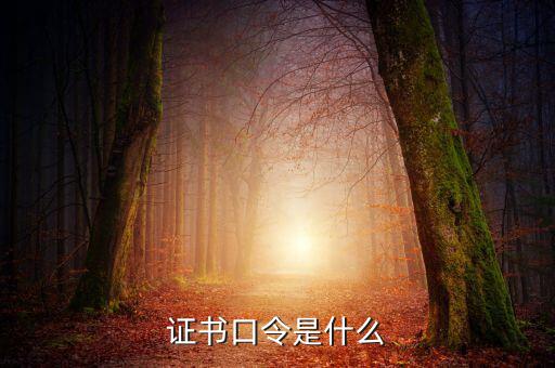 新稅盤證書口令是什么意思，金稅盤口令有什么用