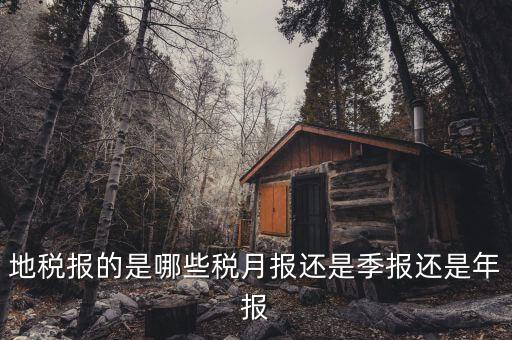 2017地稅月報(bào)的有什么，公司是小規(guī)模納稅人月報(bào)和季報(bào)時(shí)國(guó)稅和地稅各需報(bào)什么  搜