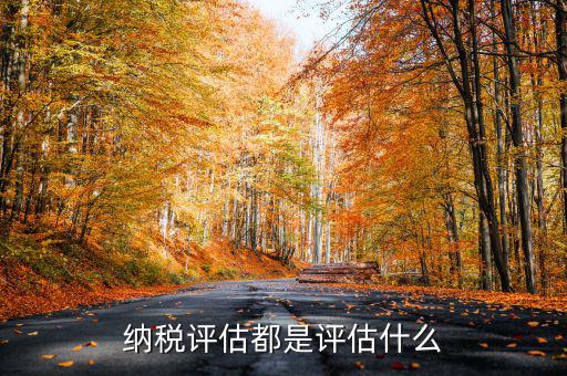 什么是稅務(wù)局企業(yè)評(píng)估，納稅評(píng)估都是評(píng)估什么