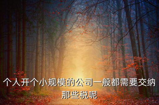個(gè)人開(kāi)辦水廠需要什么稅，自來(lái)水公司的水廠要交房產(chǎn)稅和土地使用稅嗎