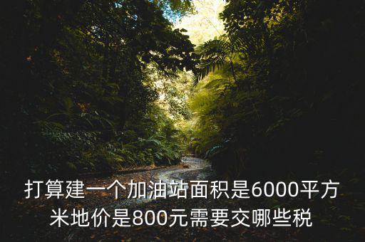 加油站都繳什么稅，打算建一個(gè)加油站面積是6000平方米地價(jià)是800元需要交哪些稅
