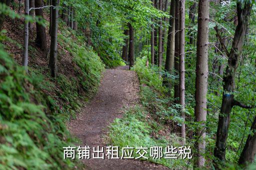 租賃門市應(yīng)該繳納什么稅，商鋪出租應(yīng)交哪些稅