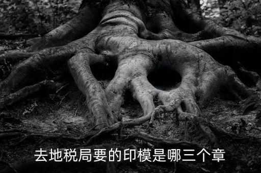 稅務(wù)局原始印模是什么東西，去地稅局要的印模是哪三個章