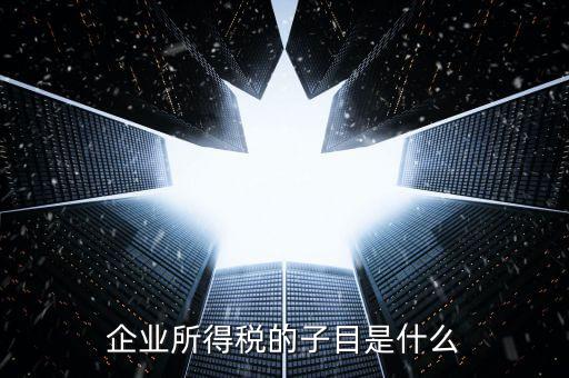 企業(yè)所得稅征收品目是什么，征收品目是什么