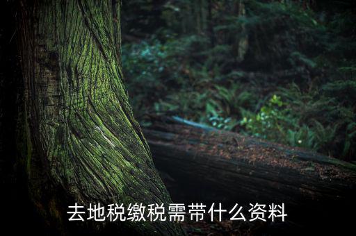 無錫地稅需要帶什么材料，去地稅繳稅需帶什么資料
