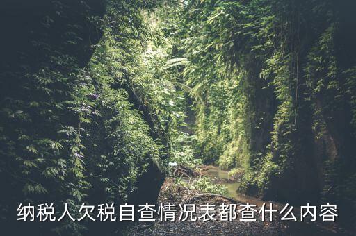 重點納稅人走訪情況表是什么，納稅人自查情況說明表里各項都填什么