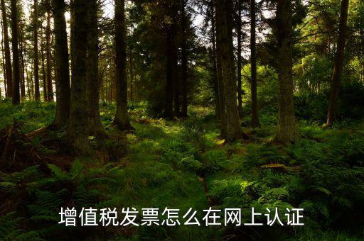 發(fā)票認證需要什么軟件下載，國稅發(fā)票認證需要準備那些資料 到大廳辦的時候工作人員叫我拿U盤