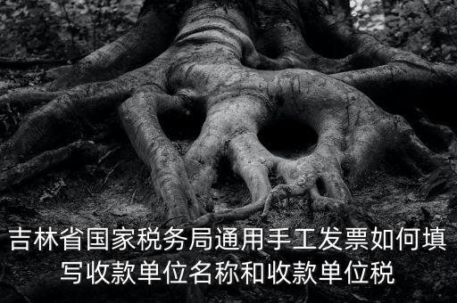 吉林省國(guó)家稅務(wù)局通用手工發(fā)票如何填寫(xiě)收款單位名稱和收款單位稅