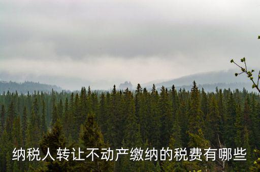 轉(zhuǎn)讓不動產(chǎn)交什么稅，納稅人轉(zhuǎn)讓不動產(chǎn)繳納的稅費(fèi)有哪些