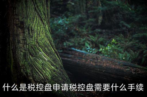稅控盤制證是什么，去稅務(wù)局辦理稅控盤需要什么資料流程怎么走呢