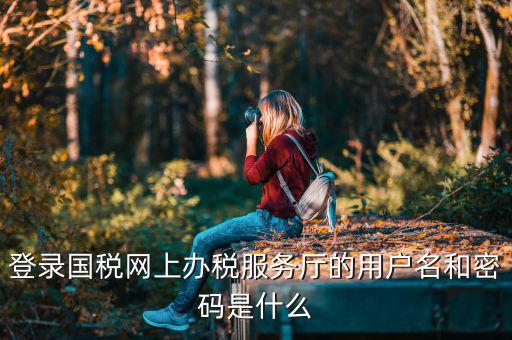 陜西電子稅務(wù)局登錄賬號(hào)是什么，登錄國稅網(wǎng)上辦稅服務(wù)廳的用戶名和密碼是什么