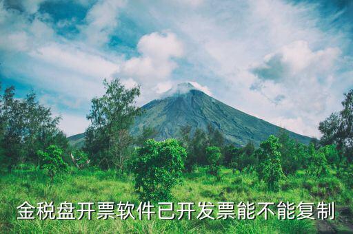 什么發(fā)票能進行復制發(fā)票操作，如何將Excel中制作的發(fā)票專業(yè)發(fā)票復制到Word文檔中并且格式