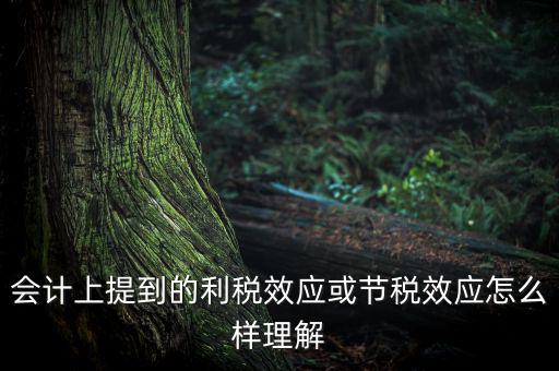 節(jié)稅效應(yīng)是節(jié)的什么稅，什么是節(jié)稅額