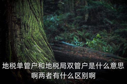 單管戶什么意思，地稅單管戶除了飲食行業(yè)外還有哪幾個行業(yè)