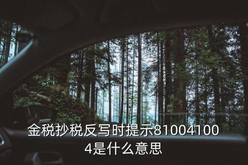 抄稅反寫是什么意思，金稅抄稅反寫時提示810041004是什么意思
