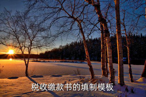 稅收繳款書字軌是什么，什么是文書字軌